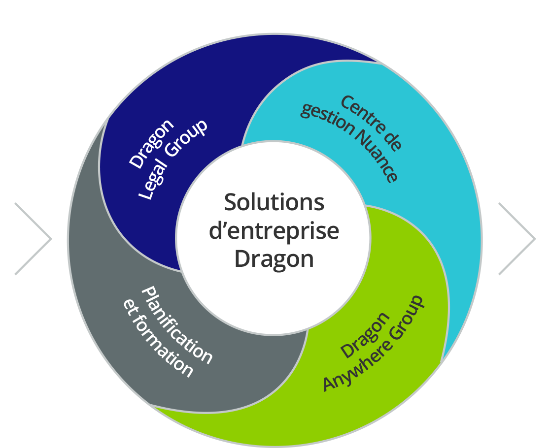 Solutions d'entreprise Dragon infographic Solutions d'entreprise Dragon