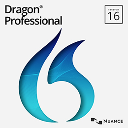 Dragon Professional Version 16 wordmark