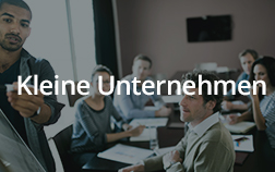 Dragon für Kleinunternehmen
