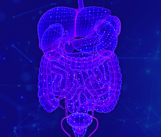 PIN abdominal and prostate image