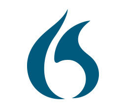 Dragon Business Solution