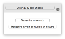 Status window - Transcription Status window - Transcription